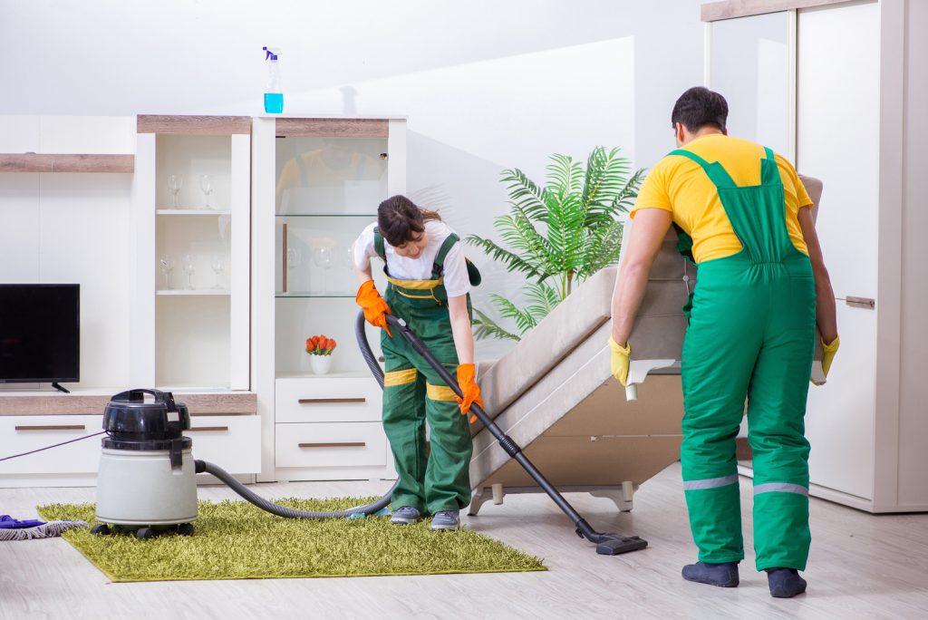  carpet cleaning