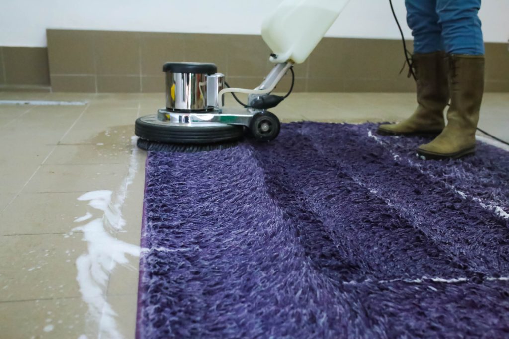  carpet cleaning